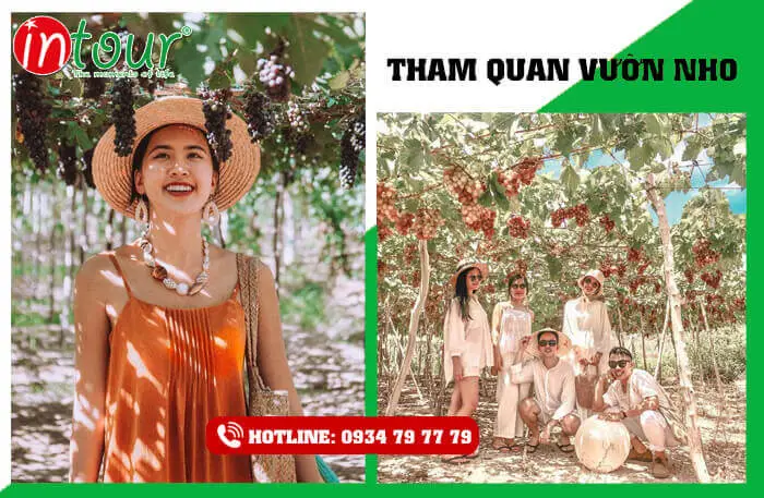 Tour du lịch Ninh Chữ Đà Lạt 4 ngày 4 đêm Tour du lịch Ninh Chữ Đà Lạt 4 ngày 4 đêm