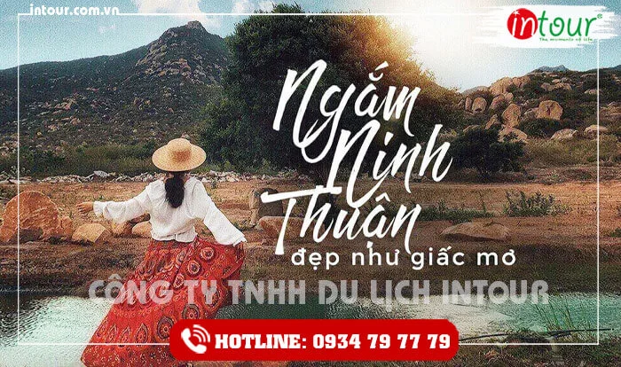 Tour Teambuilding Đồng Nai đi Ninh Chữ - Vĩnh Hy