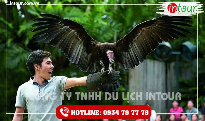 Vườn hồng hạc
