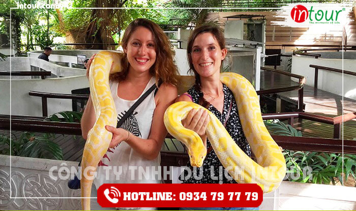 Trải nghiệm thú vị tại trại rắn Thái Lan