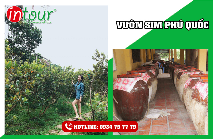 Tour du lịch giá rẻ Thái Bình - Phú Quốc KS 3* 2.620.000Đ (4 ngày 3 đêm) - Giá tốt nhất VN